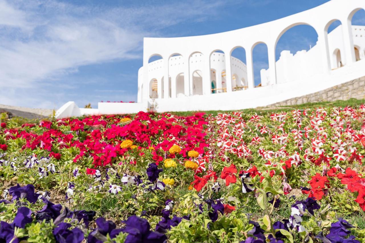 Benben By Dhara Hotels - Adults Only 아스완 외부 사진 The Flower Festival in the city of Akita
